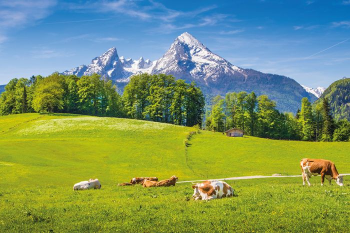 Foto: Landschaft in den Alpen